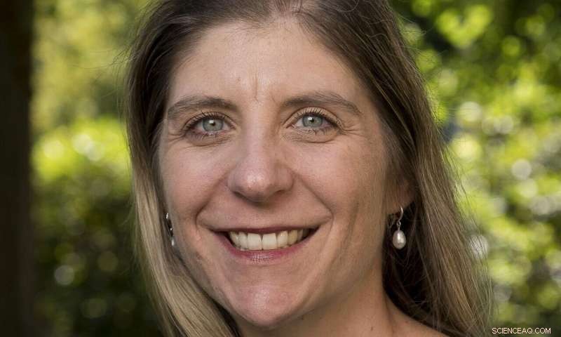 Lower-Sodium Turkey Breast Outperforms Full-Salt Variant in Sensory Evaluation