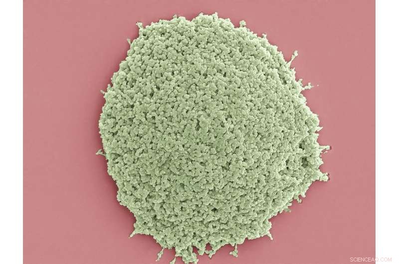 Harnessing Heat and Light to Engineer Novel Biocompatible Microparticles