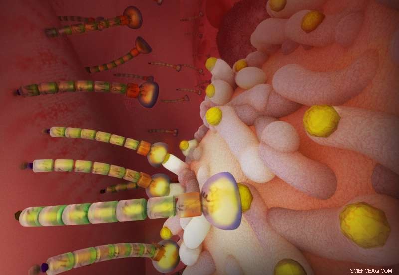 Engineered Silkworms Produce E‑Selectin, a Key Adhesion Protein for Medical Research