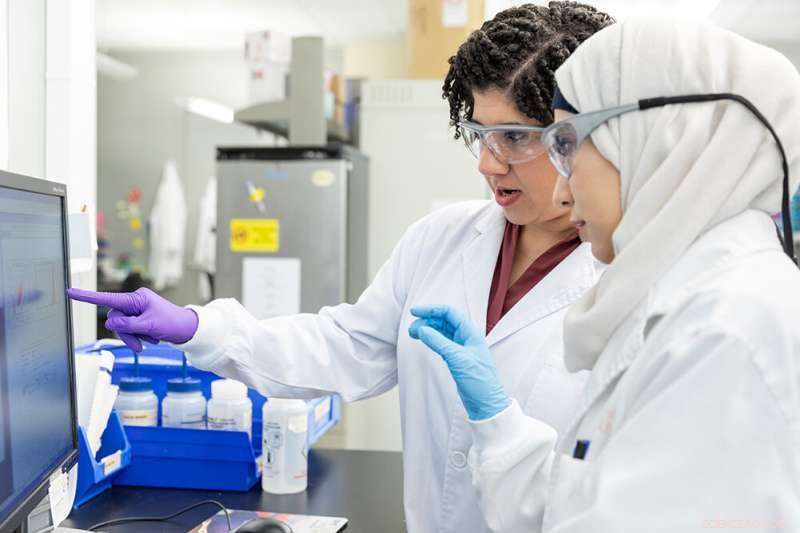 Engineered Silkworms Produce E‑Selectin, a Key Adhesion Protein for Medical Research