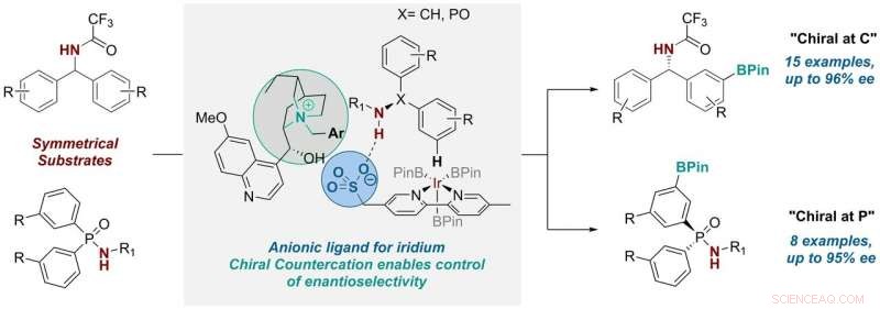 Enantioselective Metal-Catalyzed Reactions via Chiral Cation Strategy