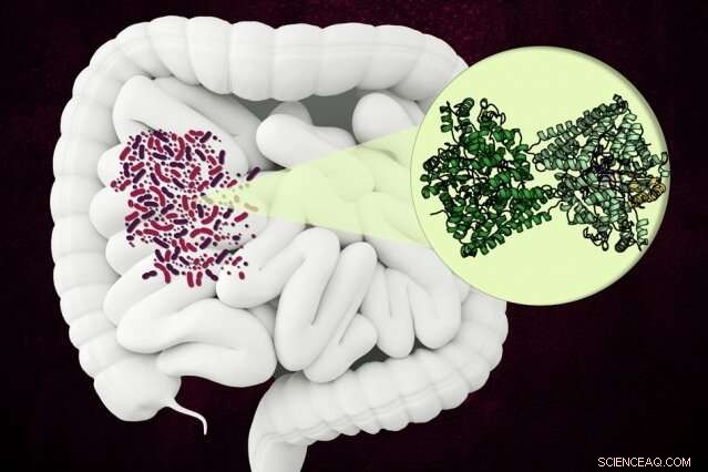 New Bacterial Enzyme Revealed as Promising Antibiotic Target