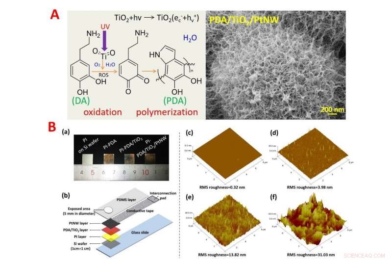 Innovative Flexible Neural Electrode Design Achieves High Efficiency