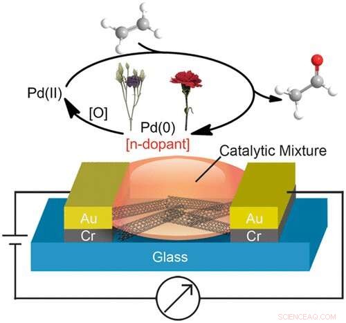 Ethylene Sensor Promises Accurate Plant Health Monitoring
