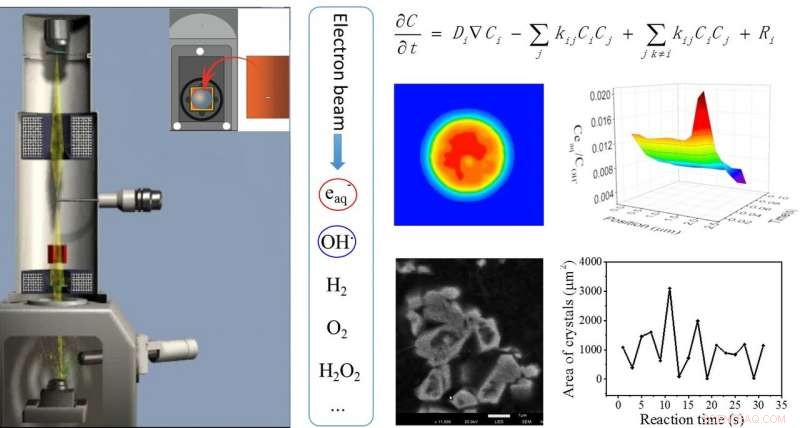 Researchers Observe Real-Time Silver Crystallization Using In-Situ Scanning Electron Microscopy