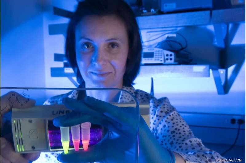 SFU Researchers Pioneer Rapid Coronavirus Tests with Innovative Mango RNA Imaging