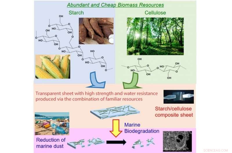 New Starch‑Cellulose Plastic Degrades in Water, Offering a Breakthrough Against Marine Pollution