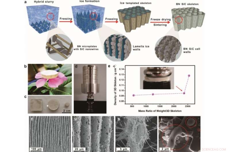 Scientists Develop Ice‑Templated Filler Skeleton for Superior Thermal Conductivity