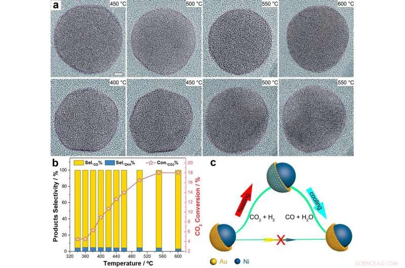 New Insights into Ni‑Au Core‑Shell Catalysts for CO₂ Hydrogenation: Hidden Surface Revealed