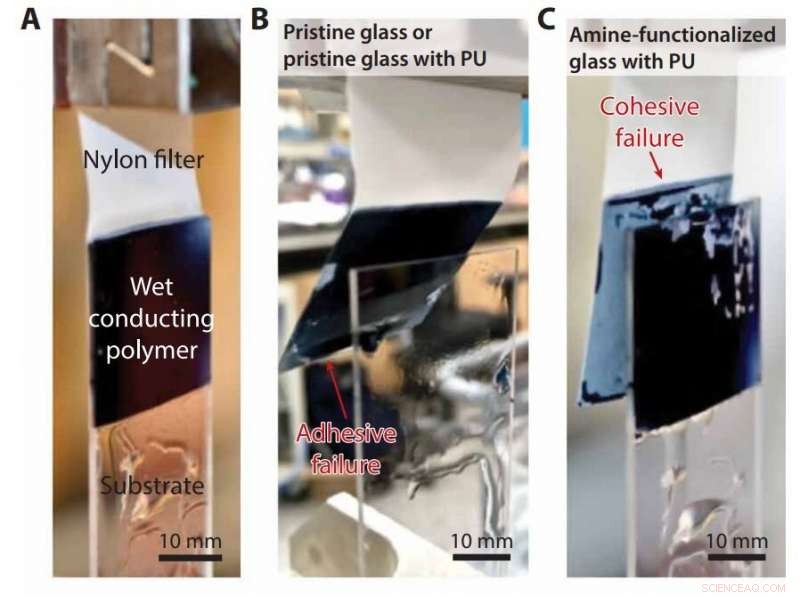 Ensuring Strong Adhesion of Conductive Gels on Wet Surfaces