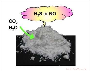 Innovative Solid Compound Delivers Controlled Release of Hydrogen Sulfide and Nitric Oxide