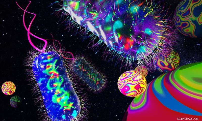 Rapid Blood Test Device Detects Harmful Bacteria in Seconds