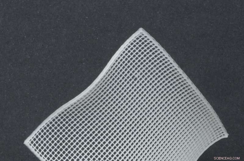 Advanced 3D Printing of Complex Cellulose-Based Structures