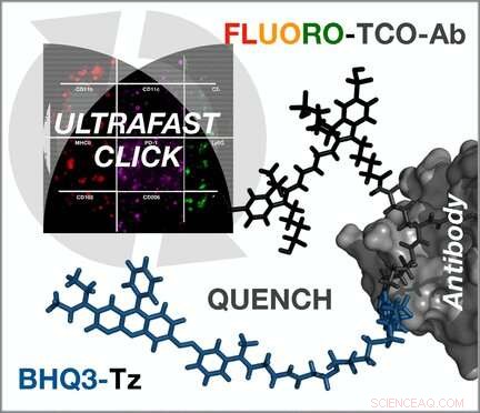 Ultra-Fast Cell Sample Staining & Destaining to Accelerate Tumor Diagnostics