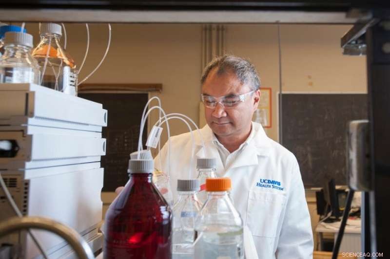 Altered Cell Surface Sugars Drive Cancer Metastasis