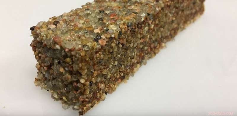 Microbial Construction: Turning Cells into Mini‑Factories for Sustainable Building Materials