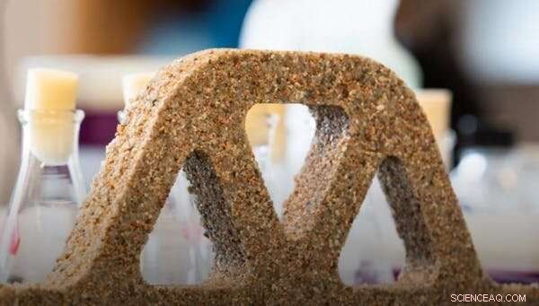 Microbial Construction: Turning Cells into Mini‑Factories for Sustainable Building Materials