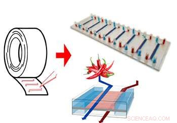 Researchers Use Simple Tape to Build Gut‑on‑a‑Chip, Accelerating Drug Discovery