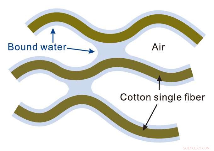 Why Does Your Cotton Towel Stiffen After Natural Drying? The Science Explained