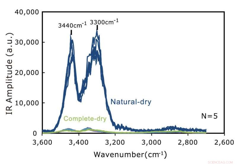 Why Does Your Cotton Towel Stiffen After Natural Drying? The Science Explained
