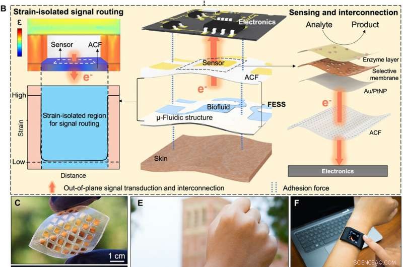 Freestanding Wearable Electrochemical Sensor System for Real‑Time Biomarker Monitoring