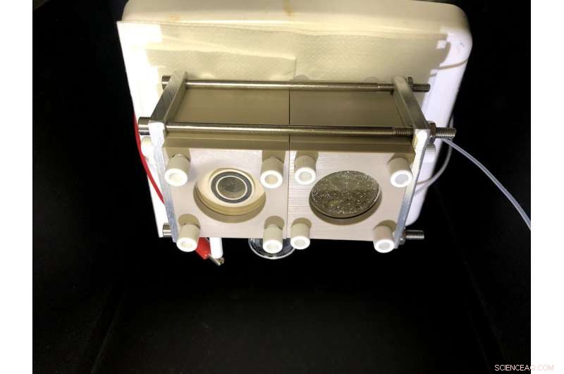 Biohybrid System Converts CO₂ into Valuable Products on Earth and Mars