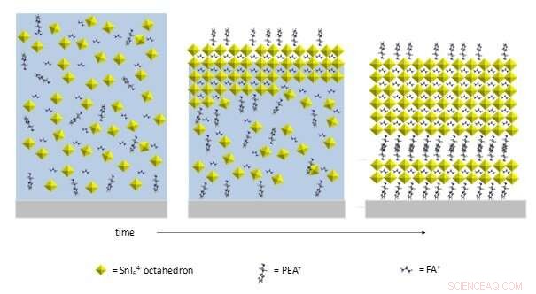 X‑Ray Imaging Uncovers Real‑Time Crystal Growth in Lead‑Free Perovskite Solar Cells