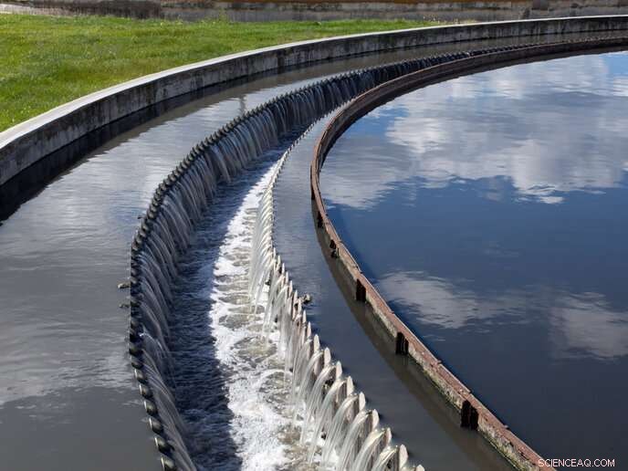 Turning Wastewater Byproducts into Sustainable Green Fuels: Innovative Pathways to Clean Energy