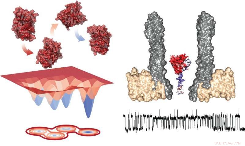 Nanopore Technique Reveals Dynamic Enzyme Driving Catalysis
