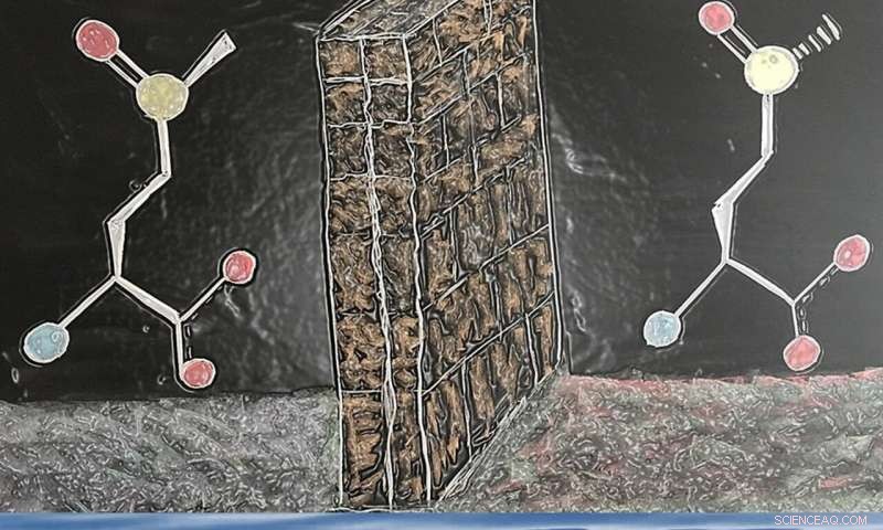 Innovative Isomer Separation Technique Enhances Protein Oxidation Research