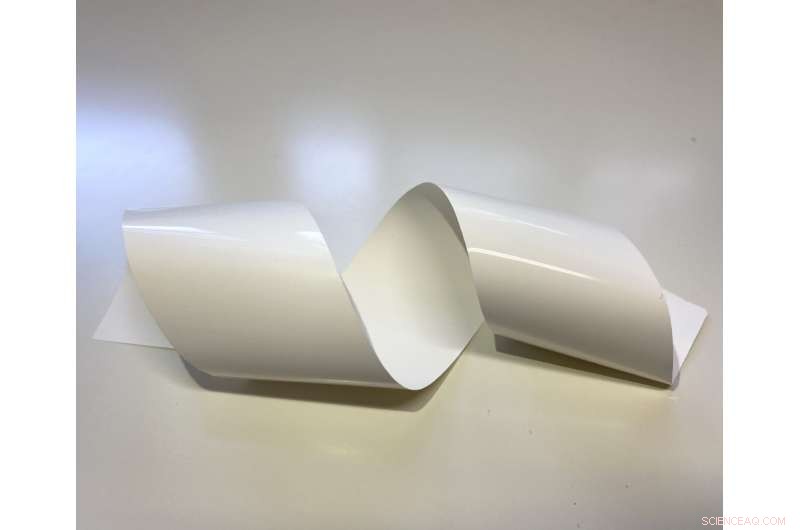 Innovative Technique for Ceramic-Based Flexible Electrolyte Sheets in Lithium Metal Batteries