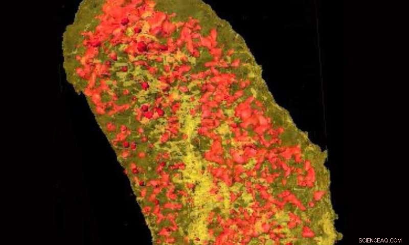 Advanced 3‑D X‑Ray Imaging of Cell Membrane Proteins