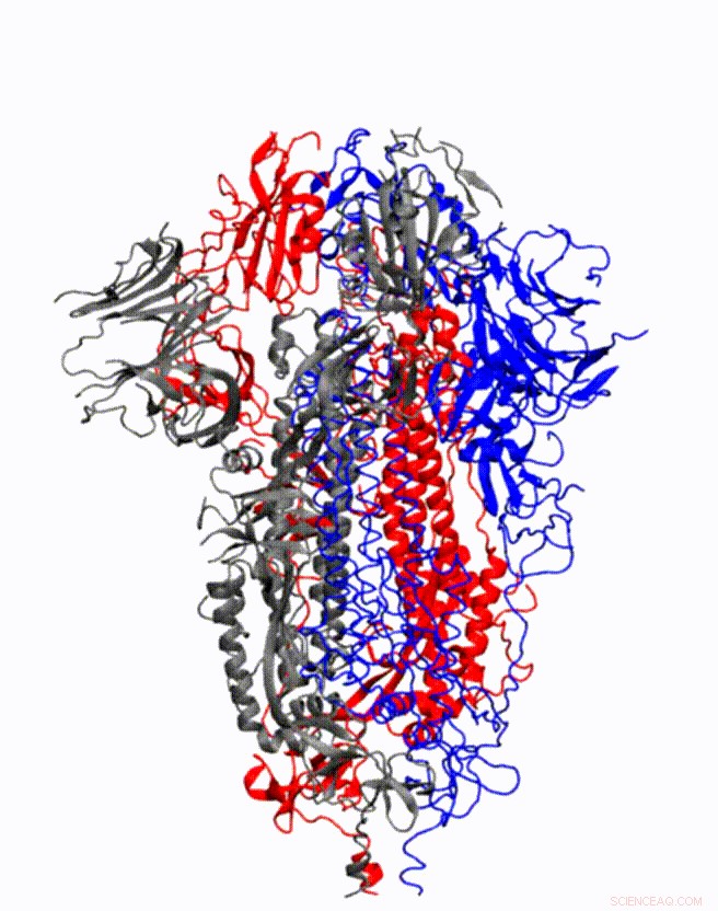 Chemist Pioneers Advanced 3‑D Simulations of Coronavirus Spike Proteins