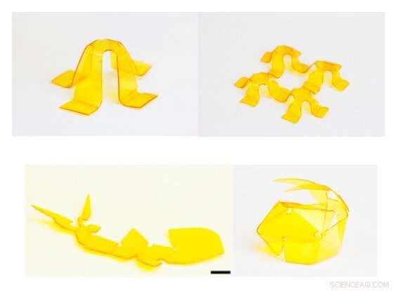 Innovative Material Enables 3D Printing of Durable, Shape‑Shifting Structures