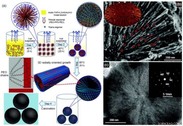Hierarchically Mesoporous TiO₂: Advanced Energy & Environmental Applications