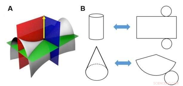 Computational Origami: A Universal Technique for Wrapping 3‑D Curved Surfaces with Non‑Stretchable Materials