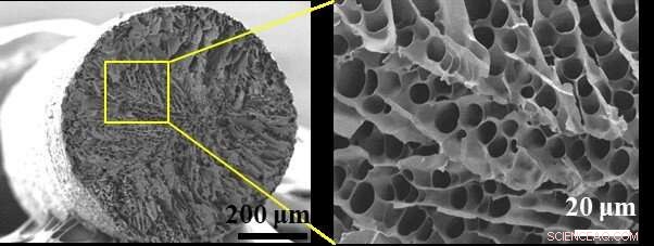 Revolutionary Textile Keeps You Cool in Heat and Warm in Cold