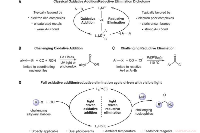 Expanding Carbonylation Scope with Light‑Driven Catalysis