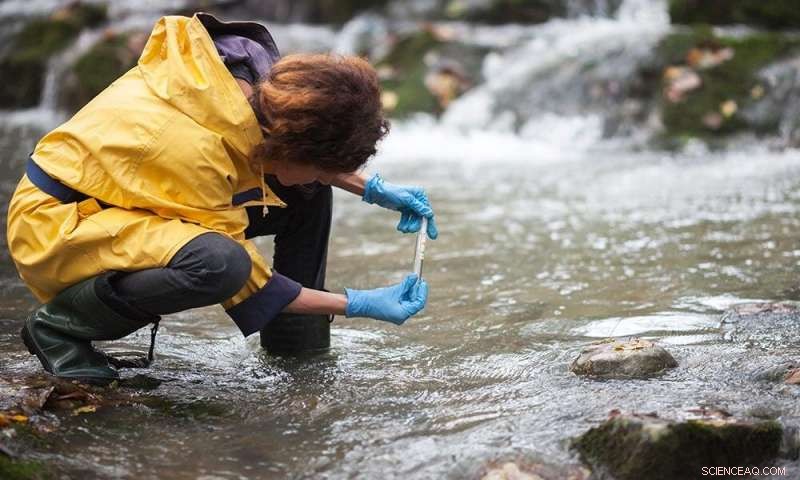 Innovative Magnetic Cork Technology for Water Purification