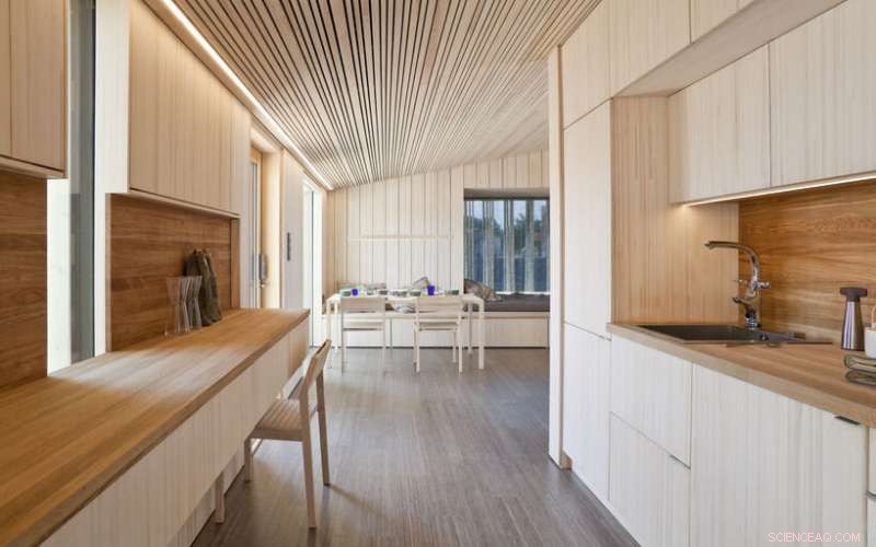 Harnessing Wood for Zero‑Energy Homes, Non‑Toxic Glitter, and Fossil‑Free Glue