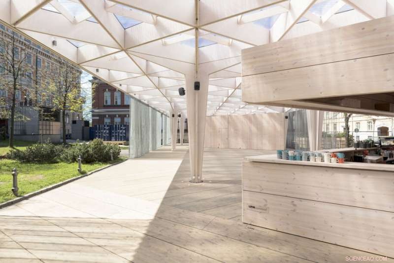 Harnessing Wood for Zero‑Energy Homes, Non‑Toxic Glitter, and Fossil‑Free Glue