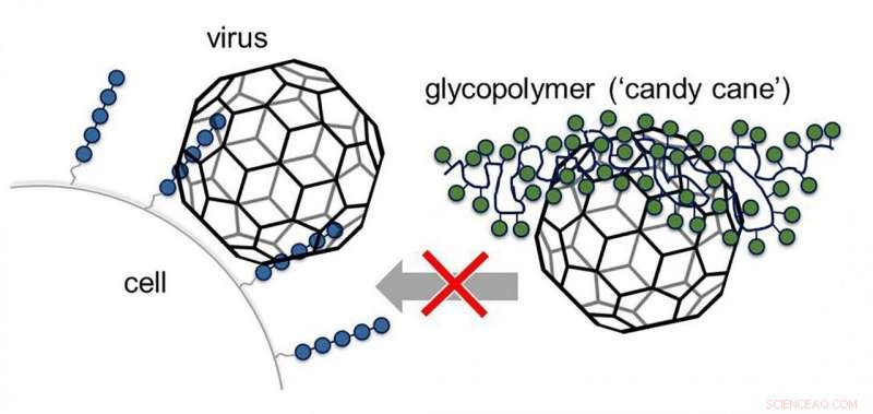 Artificial Candy Canes: Novel Glycomimetic Antiviral Agents