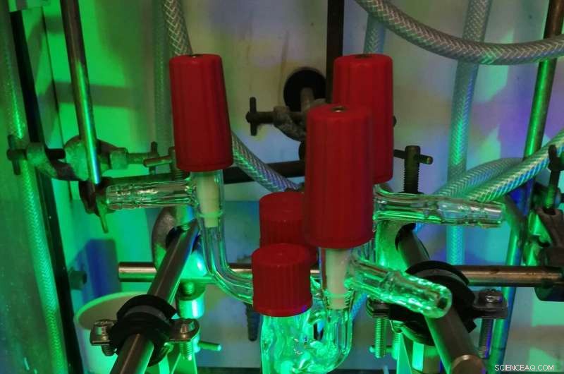 Green-Light Activated Catalyst Drives Efficient Chemical Reactions