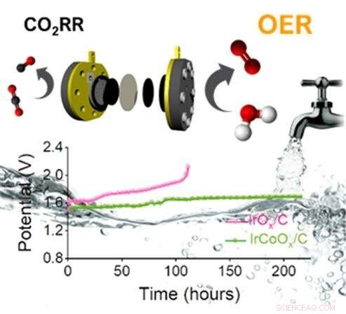 Affordable, High-Efficiency Catalyst for Converting CO₂ into Valuable Chemicals