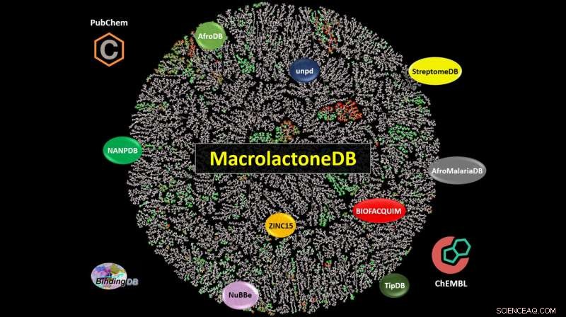 New Free Macrolactone Database Accelerates Drug Discovery