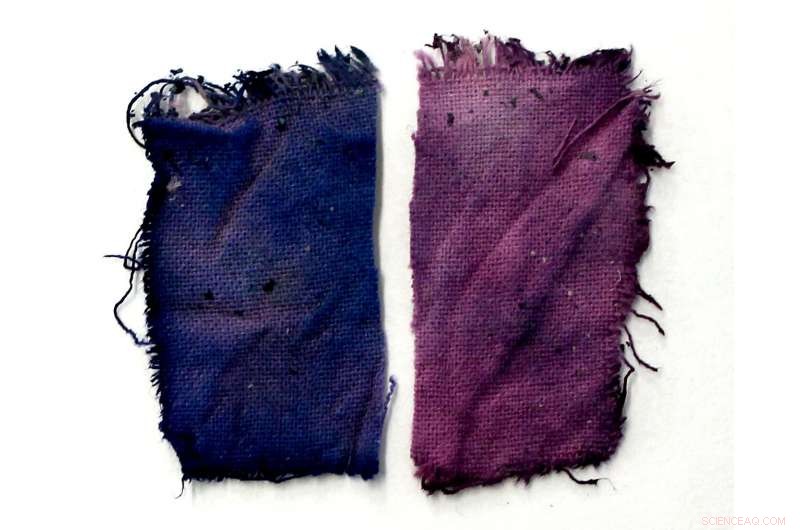 Scientists Decode the Molecular Structure of Medieval Blue Dye Folium