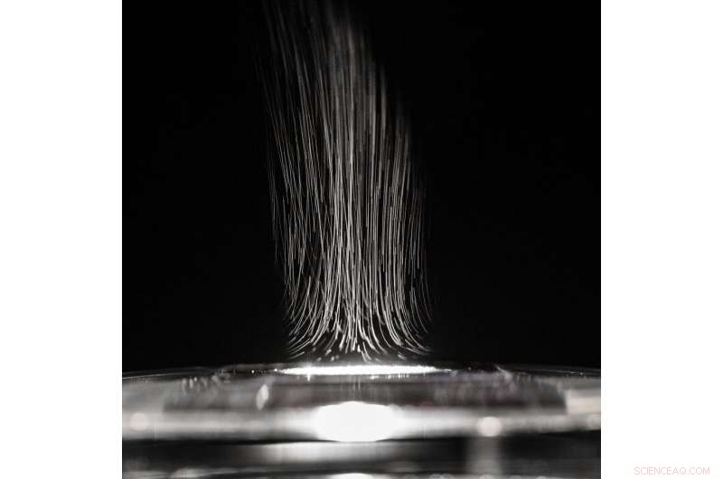 Affordable Organic Steam Generator for Clean Water Purification