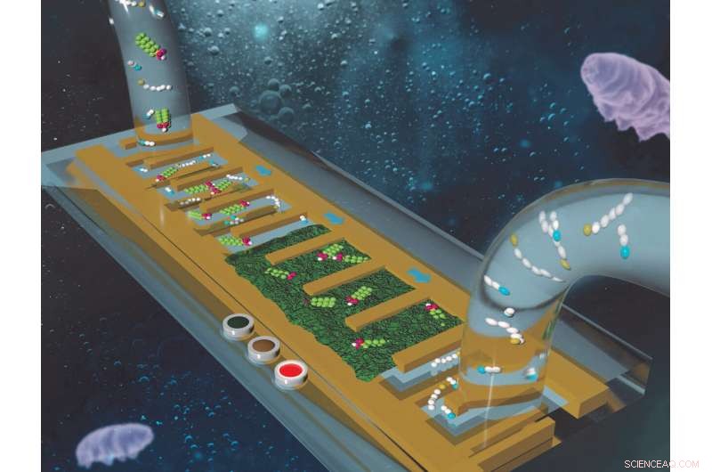 Chip‑Sized Sensor Detects Toxic PFAS in Water—Fast, Accurate, Ready for Licensing