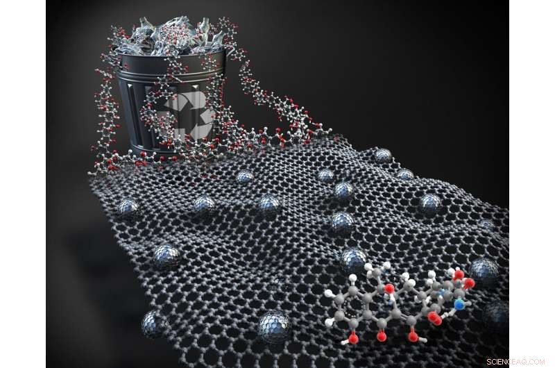 PET Bottle-Derived Adsorbent: A Sustainable Solution for Antibiotic Removal in Water