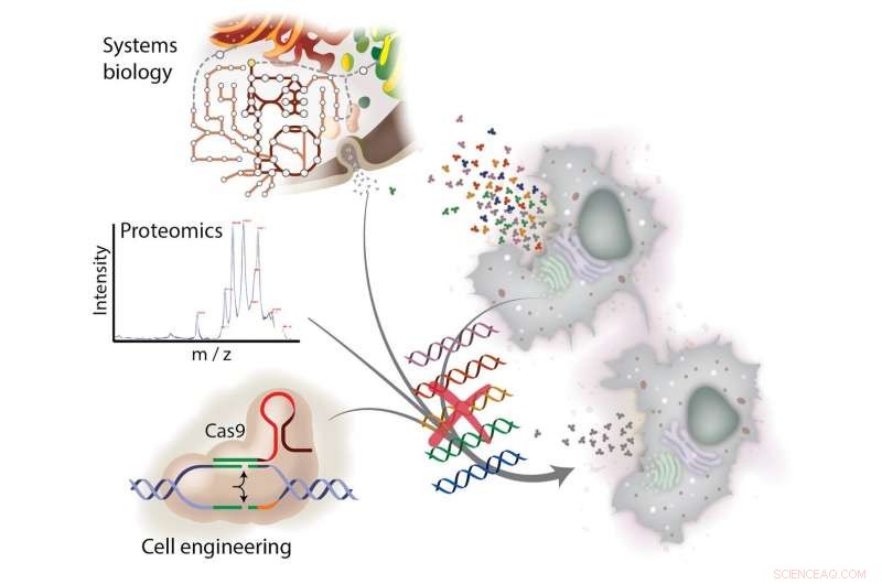 Reducing Costs of Recombinant Protein Therapeutics